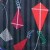 Kite